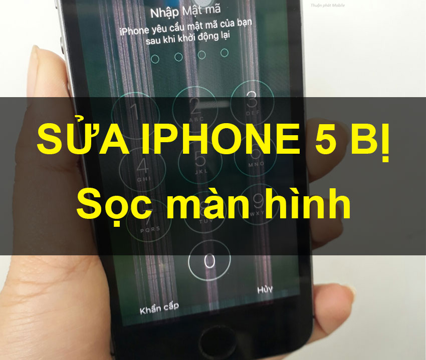Sửa màn hình Iphone 5 bị sọc đen dọc