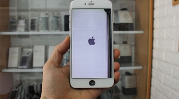 Thay màn hình iPhone 6 Plus tại Thủ Đức