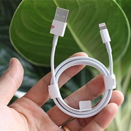 Dây sạc iPhone X zin 